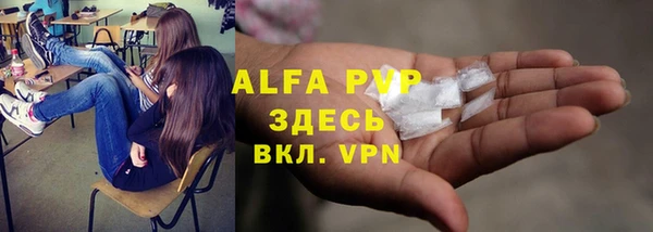 СК Горняк