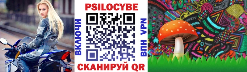 Галлюциногенные грибы Psilocybe Сыктывкар