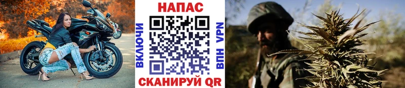 Купить  Сыктывкар  МАРИХУАНА марихуана 